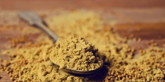 Hardal tozu metabolizmayı hızlandırır mı?